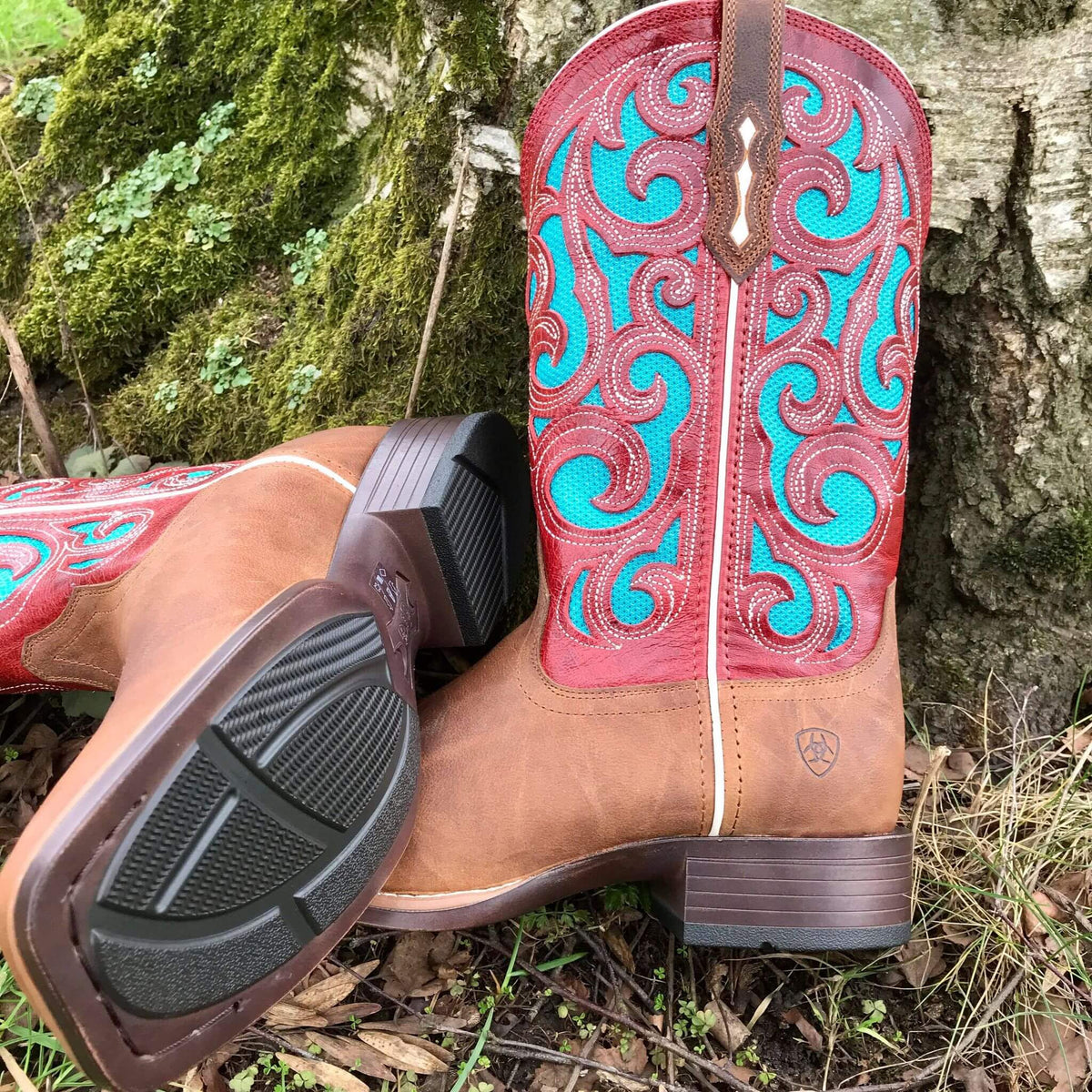 Ariat venttek boots womens hot sale
