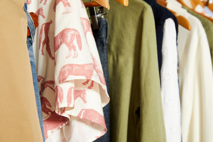 Ariat Women's Rudford Shirt in Blushing Horse