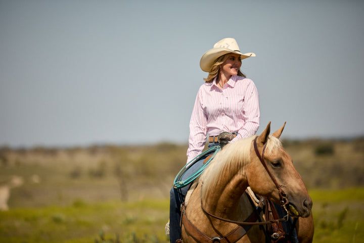 Ariat Women's VentTEK Western Shirt Zephyr Stripe