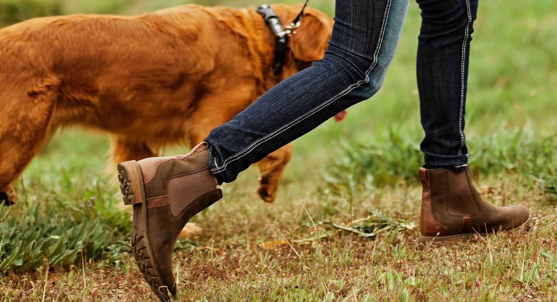 Equestrian chelsea boots top